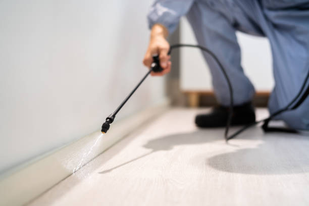 Bed Bug Pre-Treatment Preparation Assessment in Valley Hill