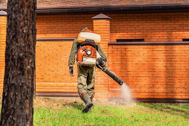 Bed Bug Clearance Verification and Documentation in Valley Hill